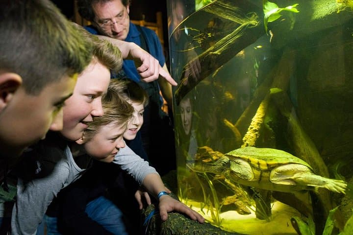 Biglietto d'ingresso per SEA LIFE Monaco — foto 5