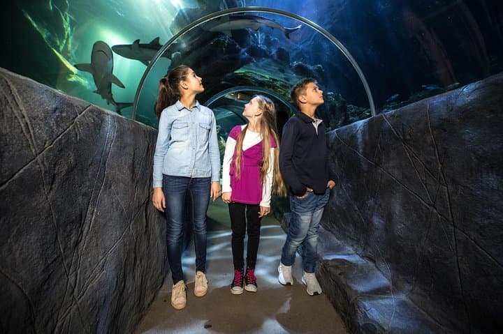 Biglietto d'ingresso per SEA LIFE Monaco — foto 4
