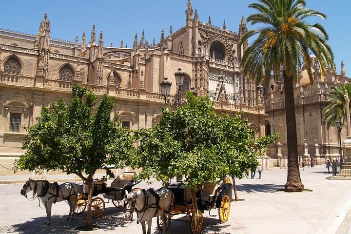 Visite guidée de l'Alcazar, de la Cathédrale et de la Giralda à Séville — photo 5
