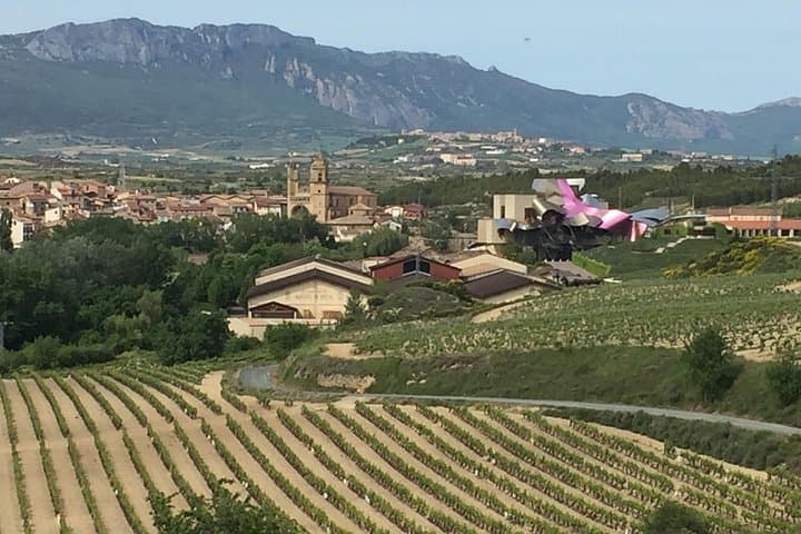 Halbprivater Rioja-Tour zu 3 Premium-Weingütern ab Bilbao — Foto 4