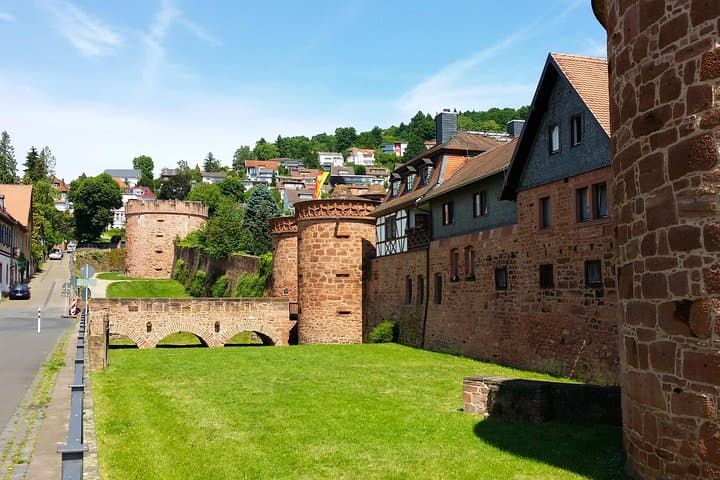 Escapada Medieval Privada a Budingen desde Frankfurt