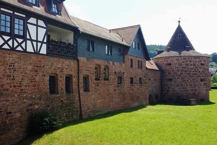 Escapada Medieval Privada a Budingen desde Frankfurt — foto 4