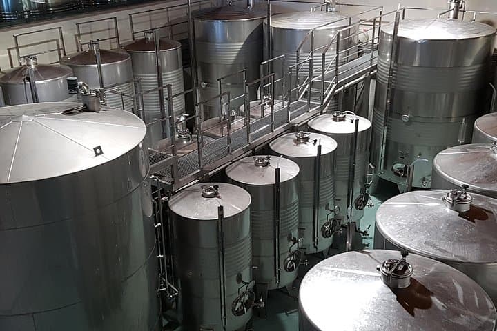Private Txakoli-Weintour entlang der Küste von San Sebastian — Foto 3