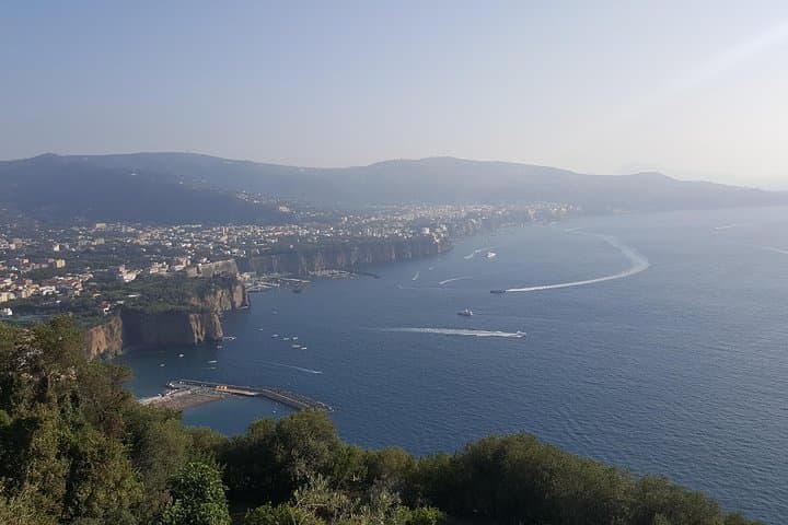 Private Tagestour nach Pompei, Weingut, Sorrent von Neapel/Salerno/Amalfi/Positano