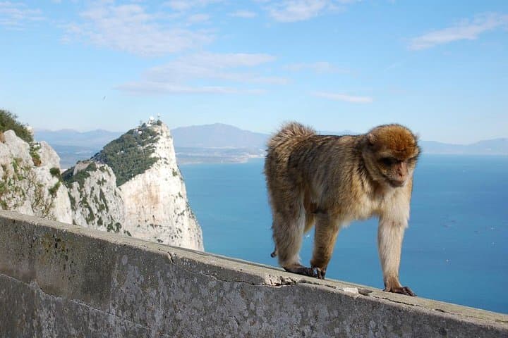 Excursión Privada de un Día a Gibraltar desde Marbella — foto 5