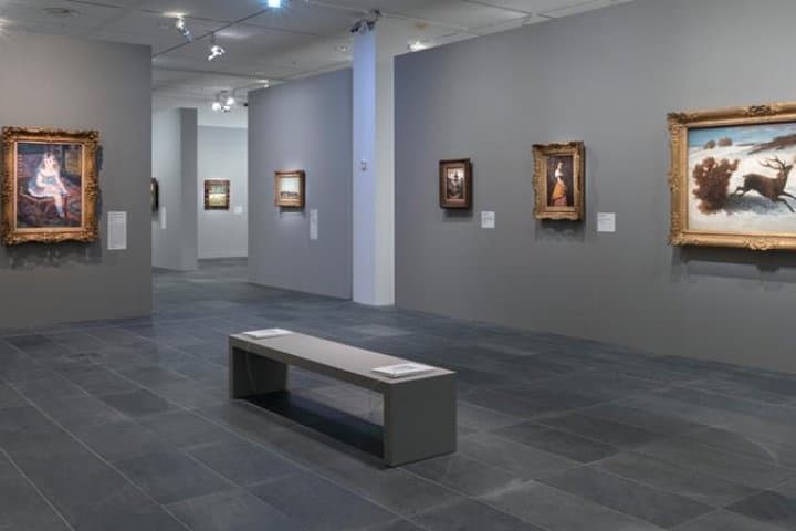 Tour Esclusivo dell'Orangerie e delle Ninfee di Monet con Ingresso Riservato — foto 4