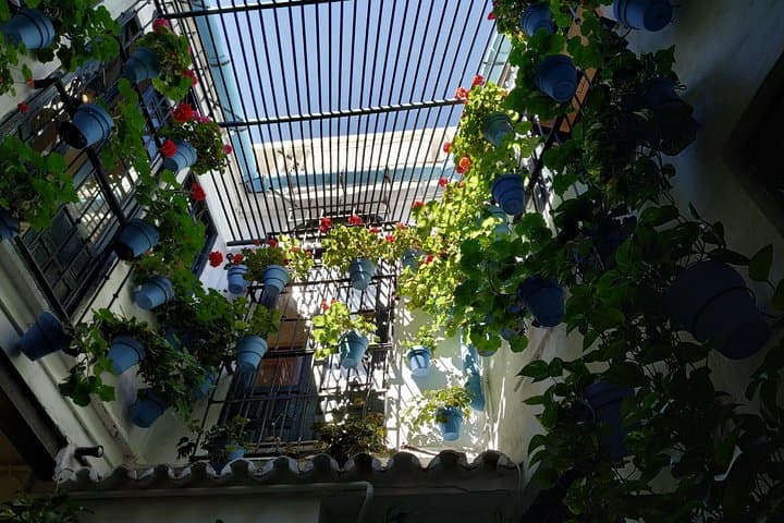 Malaga Private Walking Tour — Foto 4