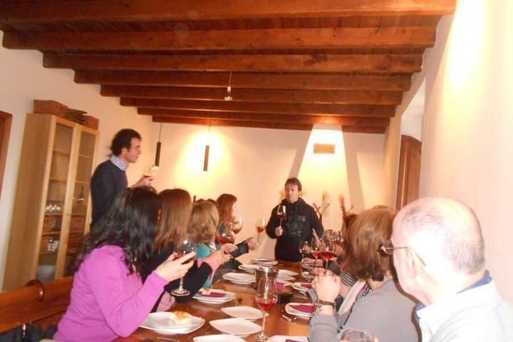 Geführte Tour durch Weingüter der Ribera del Duero und Weinverkostung ab Madrid — Foto 2