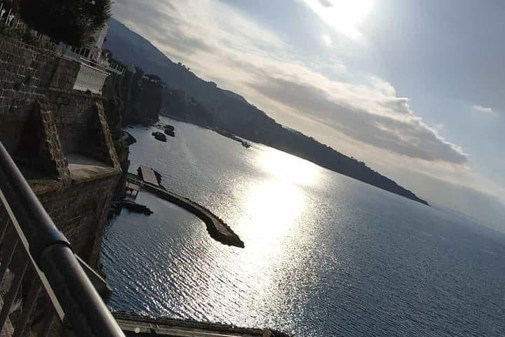 Private Tagestour nach Pompei, Weingut, Sorrent von Neapel/Salerno/Amalfi/Positano — Foto 5