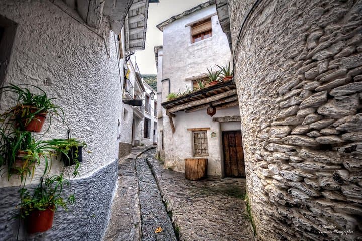 Malerischer Tagesausflug zu den Alpujarra-Dörfern von Granada (Max 8)