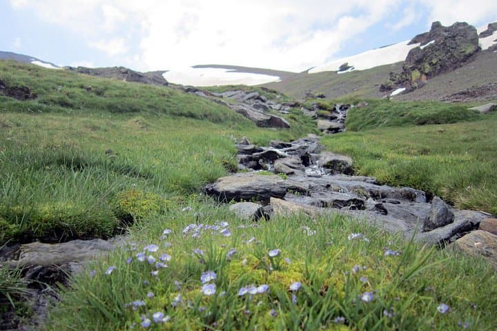 Tagesausflug Sierra Nevada von Granada — Foto 4