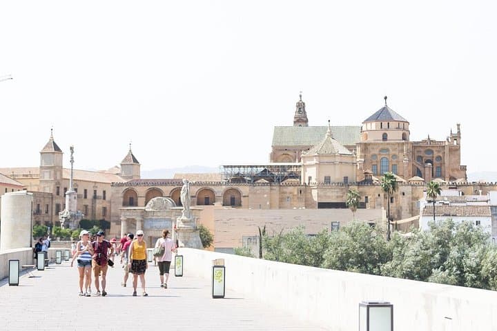 Volltagestour nach Córdoba mit Eintritt zur Moschee ab Málaga — Foto 4