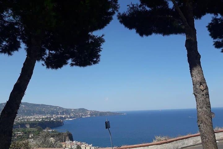 Escursione costiera semi privata sulla Costiera Amalfitana con prelievo — foto 3