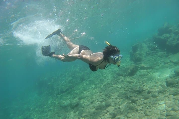 Fuga Rando-Palmée attorno a un'isola — foto 4