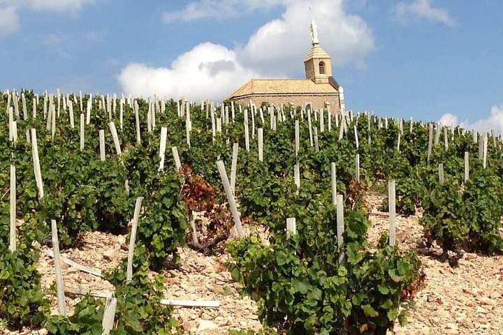 Beaujolais Crus Weine & Schlösser Tour - Lyon — Foto 4