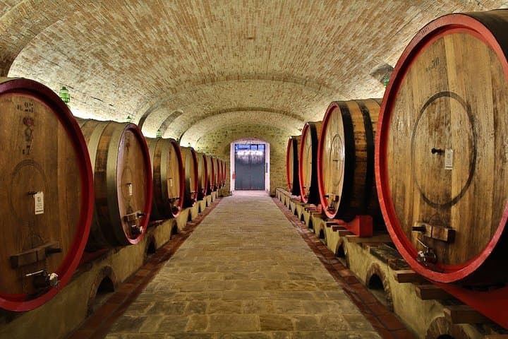 Wine Tasting Tour in Tuscany from Florence — photo 4