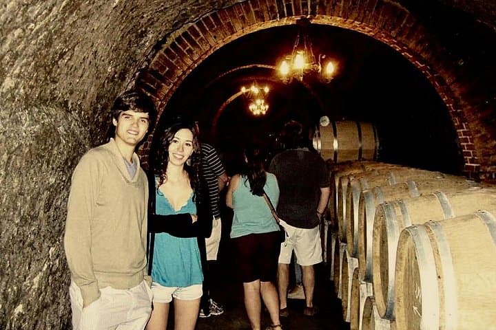 Geführte Tour durch Weingüter der Ribera del Duero und Weinverkostung ab Madrid — Foto 3