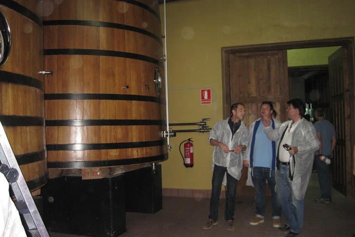 Geführte Tour durch Weingüter der Ribera del Duero und Weinverkostung ab Madrid — Foto 4