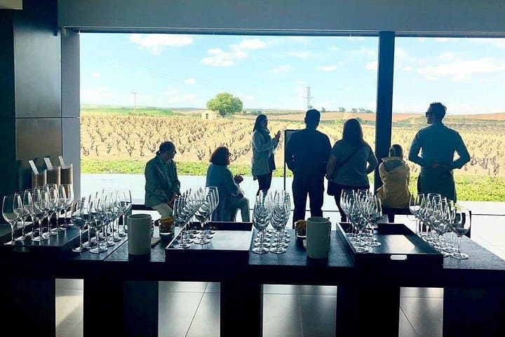 Geführte Tour durch Weingüter der Ribera del Duero und Weinverkostung ab Madrid — Foto 5
