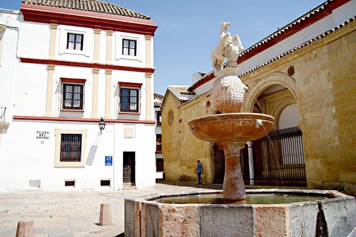 Tour di Cordoba e della sua Moschea da Málaga — foto 3