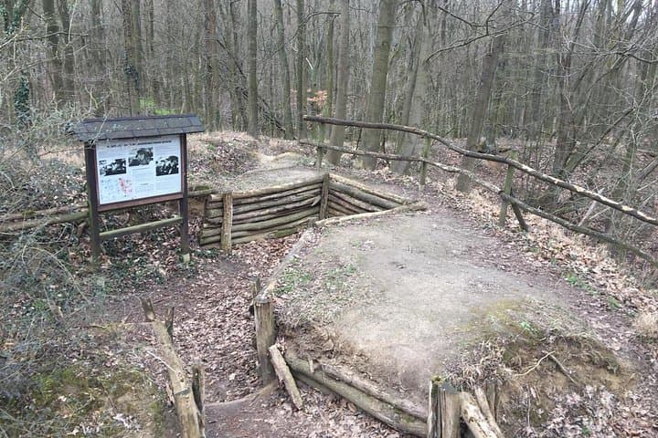 Battaglia per le Altezze di Seelow 1945 — foto 3