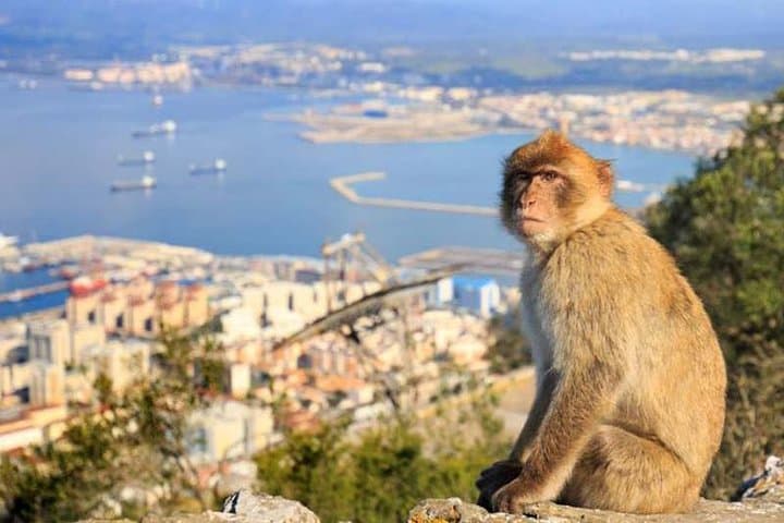 Tour Privado a Gibraltar desde Málaga y Marbella