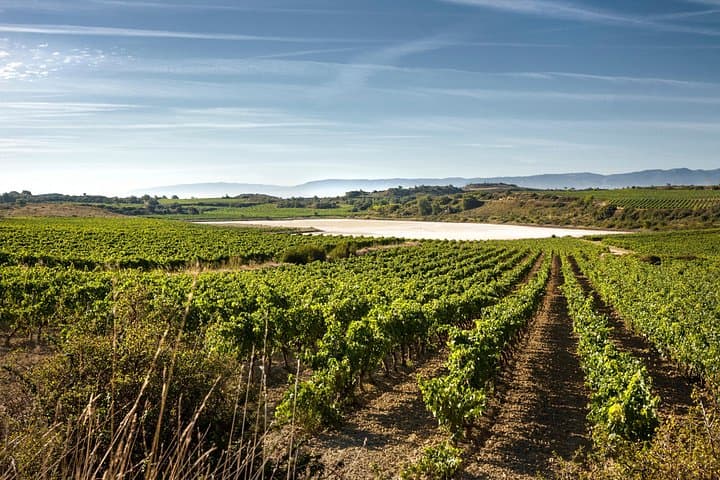Wein- und Laguardia-Tour in La Rioja ab Bilbao