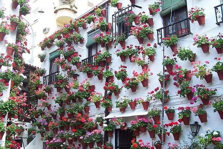 Excursión privada de un día de Málaga a Córdoba — foto 5