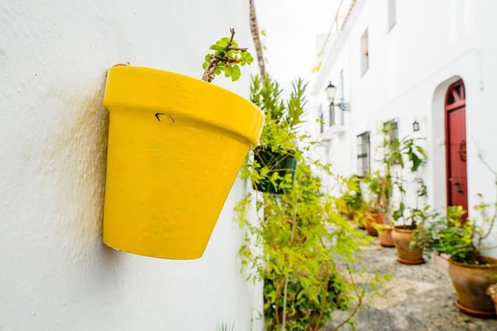 Escursione di un giorno a Nerja e Frigiliana da Granada (Max. 8) — foto 3