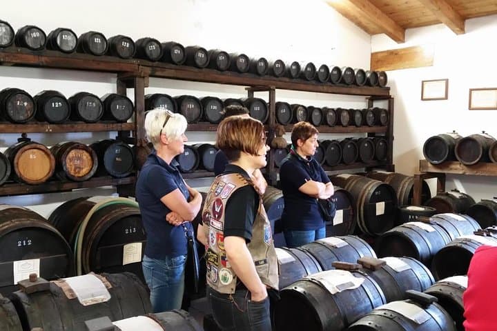 Visite Privée d'une Journée & Déjeuner : Dégustation de Parmesan, Vin et Vinaigre — photo 4