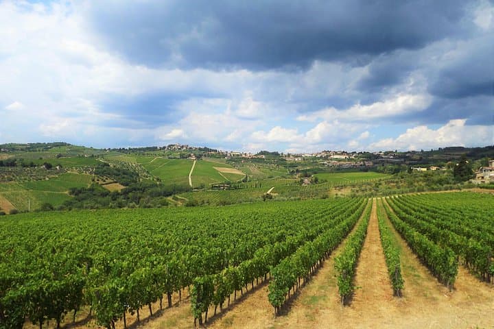 Safari in Chianti con Minivan Scoperto e Degustazione di Vini — foto 3