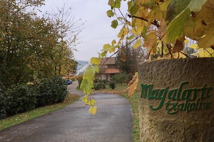 Visite Dégustation de Vin Txakoli à Bilbao — photo 2