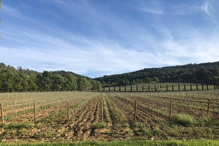 Private Itinerary Experience in Provence — Foto 5