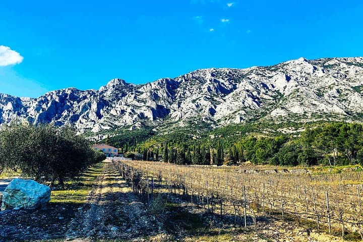 Private Cézanne Provence Wein Tour - Aix-en-Provence — Foto 2