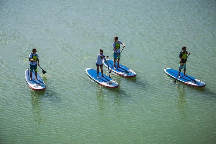 Tour de Paddle Surf sur le Guadalquivir à Séville — photo 5