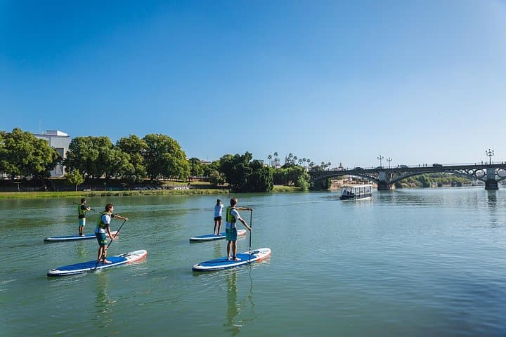 Tour de Paddle Surf sur le Guadalquivir à Séville — photo 4