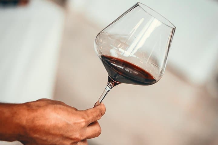 Excursión de un día por la región de Médoc con visitas a viñedos y catas desde Burdeos — foto 2