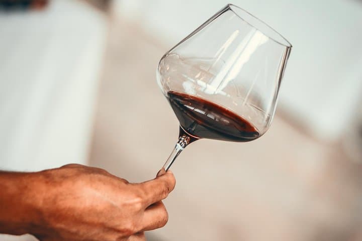 Wein-Tagesausflug in die Médoc-Region mit Weinbergbesuchen und Verkostungen ab Bordeaux — Foto 2