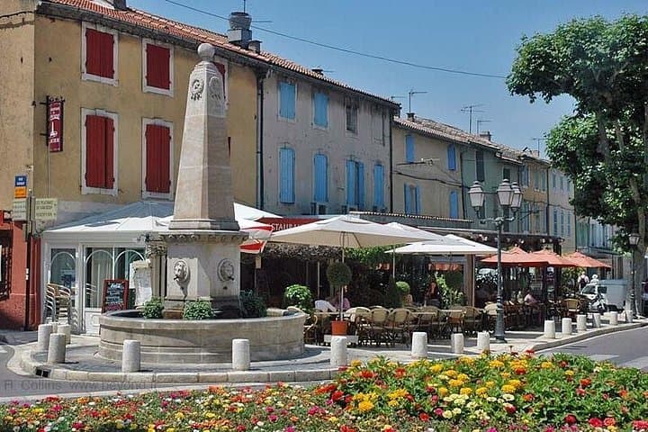 Saint Remy von Provence & Les Baux de Provence Minivan Tour — Foto 4