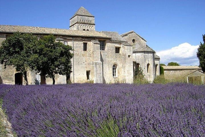Saint Remy von Provence & Les Baux de Provence Minivan Tour