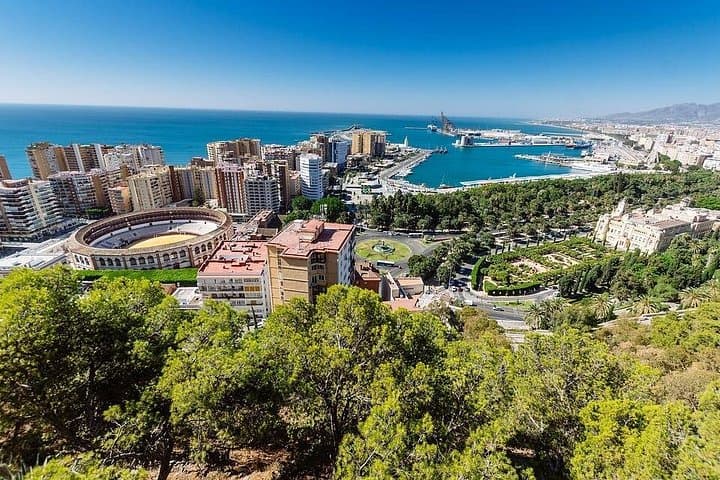 Privater Ganztagesausflug nach Malaga von Sevilla — Foto 4