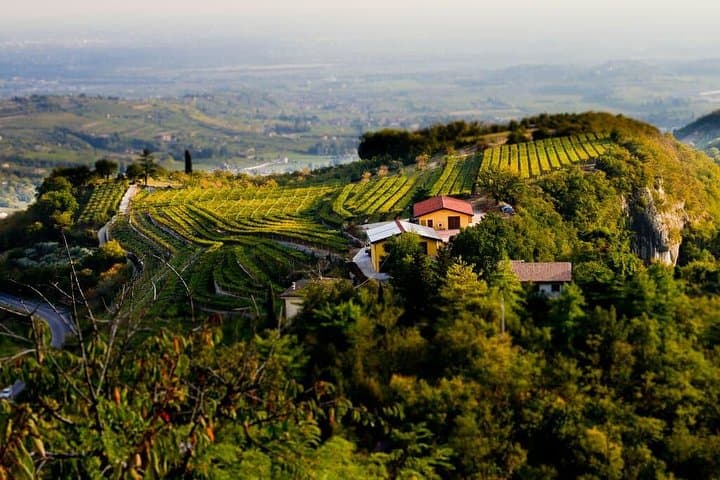 Valpolicella Wein Tour von Verona — Foto 4