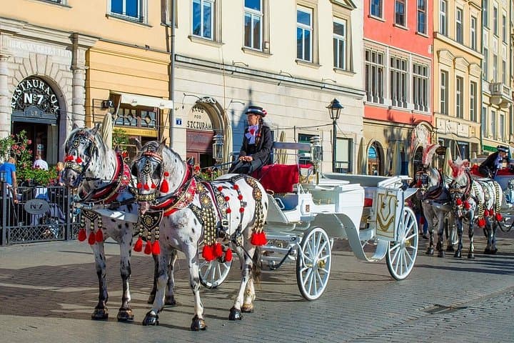 Trasferimento Privato da Berlino a Cracovia con Visita Turistica — foto 4