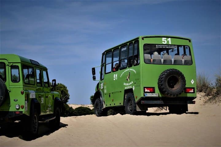 Visite en 4x4 de Doñana et El Rocío — photo 5