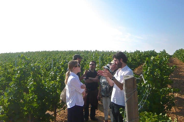 Geführte Weintour zu Weingütern in der Madrider Landschaft mit Weinverkostung