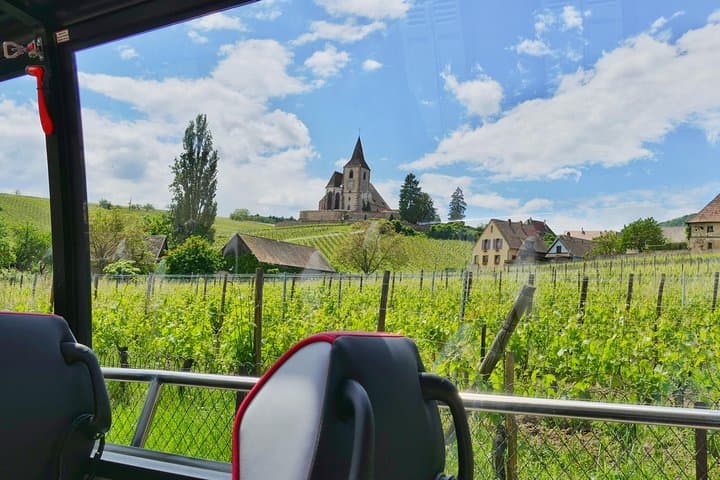 Villaggi Medievali e Degustazione di Vini da Strasburgo — foto 4