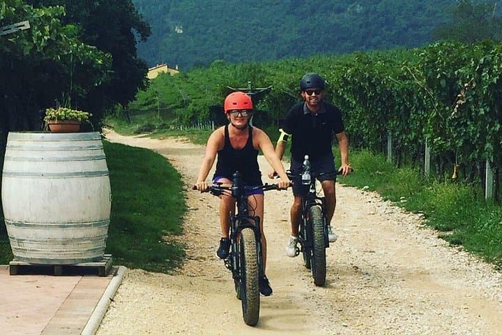 Tour in E-bike e Degustazione di Amarone in Valpolicella