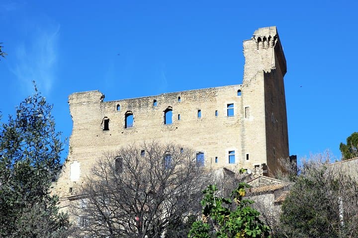 Private Tour von Avignon und Châteauneuf-du-Pape — Foto 4