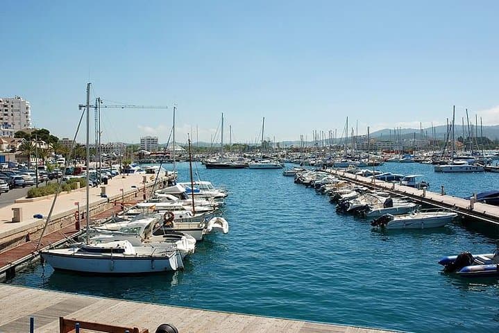 Visite de l'île d'Ibiza : Marché local de Punta Arabi — photo 4