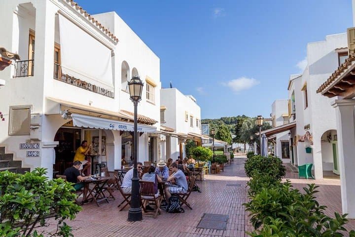 Visite de l'île d'Ibiza : Marché local de Punta Arabi — photo 5